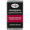 Акварель Гамма "Старый Мастер" 2,6 мл, краплак красный, прозрачный 1