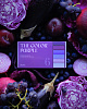 Набор пастели сухой nuance., The Color Purple, 6 шт (фиолетовые) 1