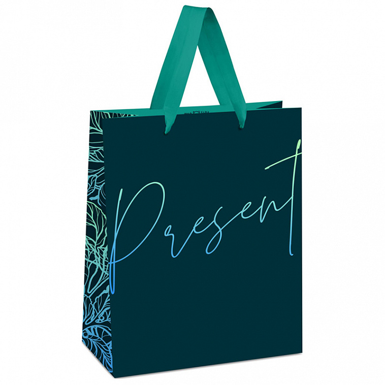 Пакет подарочный MESHU "Present" 18*23*10 см 606x758