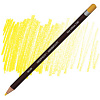 Карандаш Derwent "Coloursoft" Кадмий желтый темный С040 1