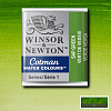 Акварель Winsor&Newton "Cotman" в кювете Крушина зеленая  1