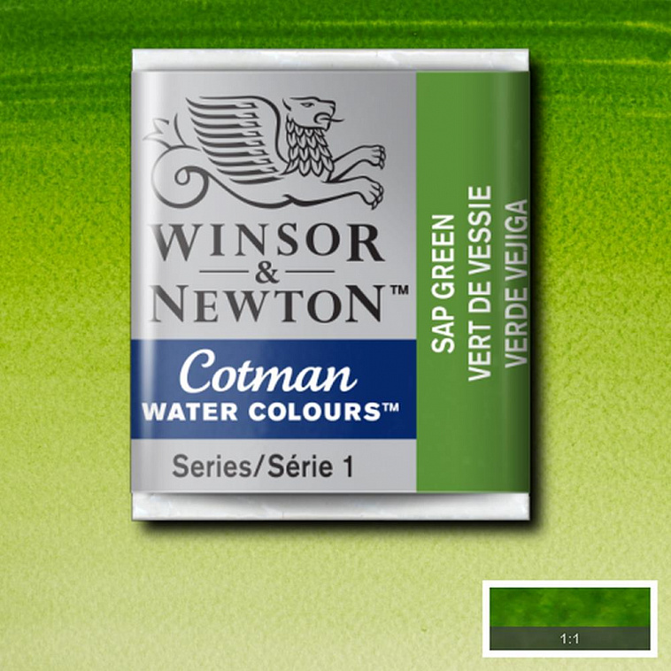 Акварель Winsor&Newton "Cotman" в кювете Крушина зеленая  606x758