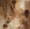 Акварель "Handy" кювета 2 мл, Burnt umber brownish 1