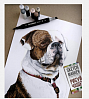 Набор маркеров Sketchmarker Brush 36 Europa Set- Европа (36 маркеров+сумка органайзер) 4