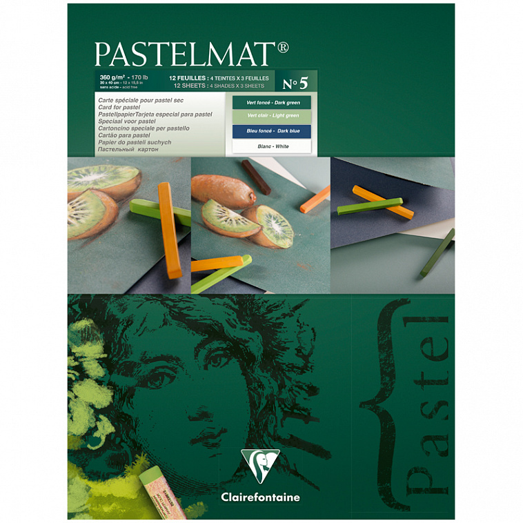 Альбом-склейка для пастели Clairefontaine "Pastelmat" 30х40 см 12 л 360 г, бархат, цв. блок