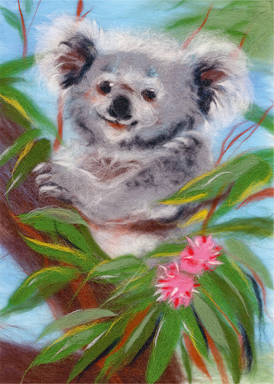 Нарисуем коалу. Фото коалы Как нарисовать коалу карандашом поэтапно для детей