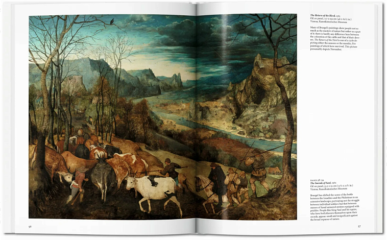 Книга Basic Art "Bruegel" 606x758