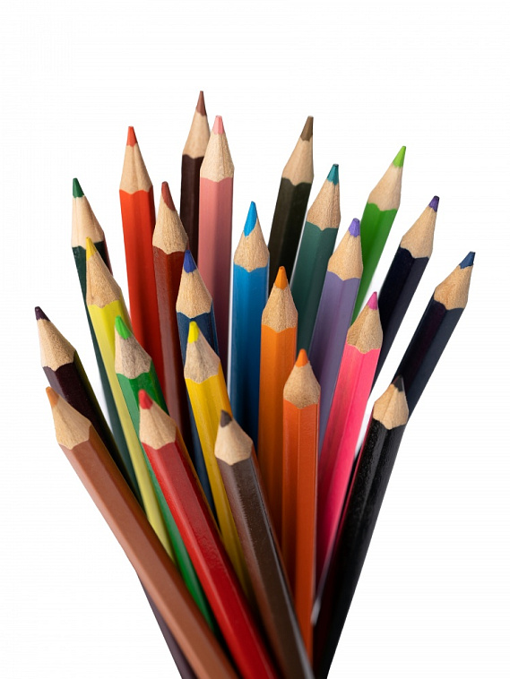 Карандаши цветные Globus, 24 цв. 606x758