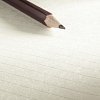 Блокнот-дневник на спирали Hahnemuhle "Sketch diary" А5 60 л 120 г (линейки и чистые)   2