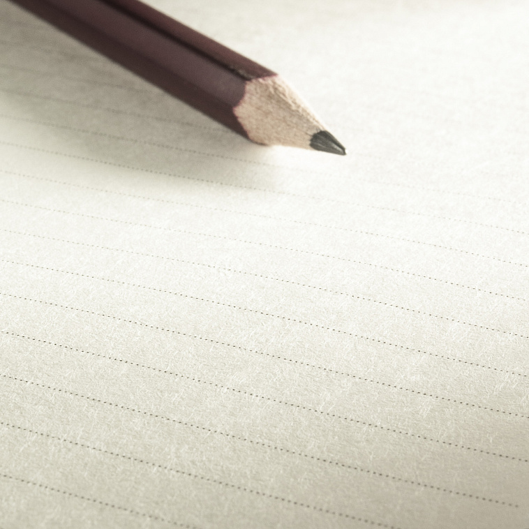 Блокнот-дневник на спирали Hahnemuhle "Sketch diary" А5 60 л 120 г (линейки и чистые)   606x758
