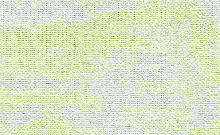 Бумага для пастели "Палаццо" 50x70 см 160 г незрелая фисташка 606x758