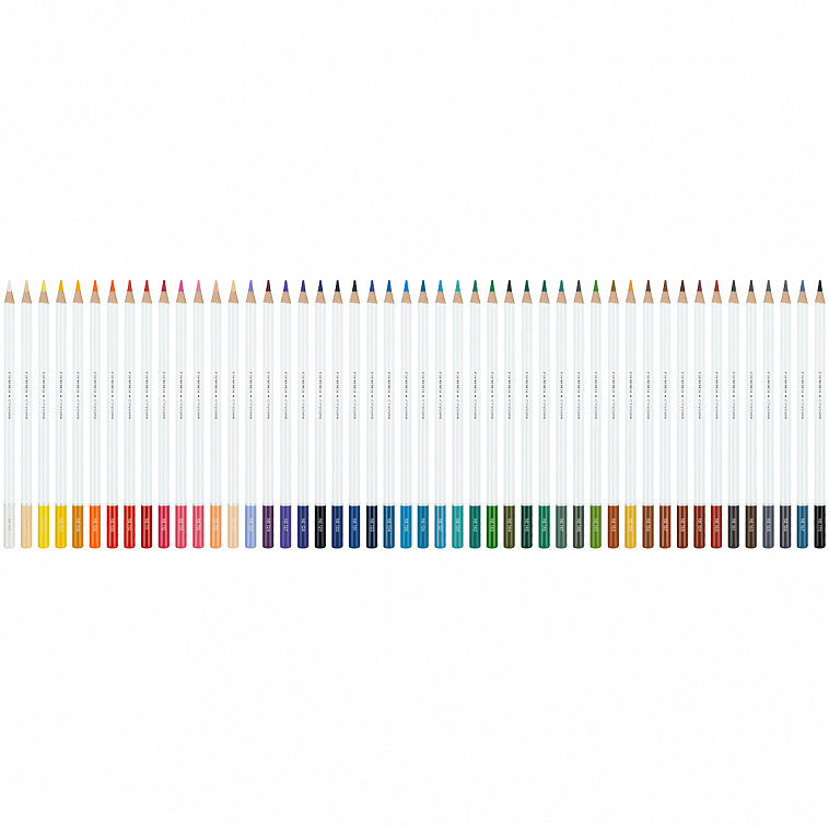 Набор карандашей цветные Гамма "Студия", 48 цв., заточен., картон. упаковка