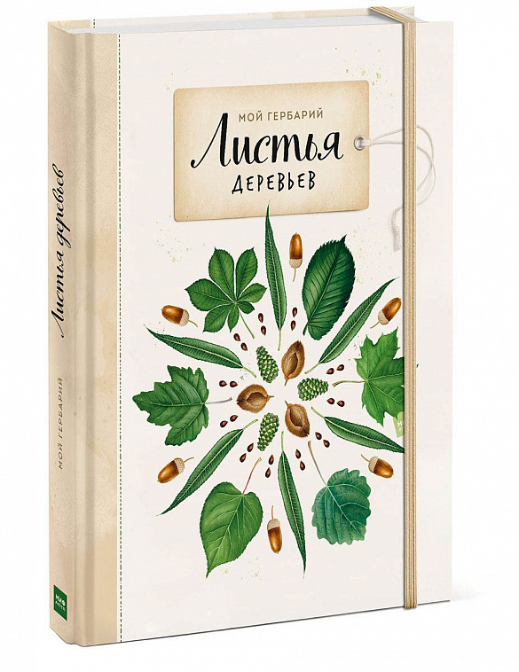 Книга "Мой гербарий. Листья деревьев" Анна Васильева